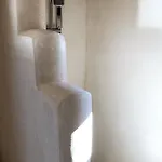 Erato-picturesque * Халки